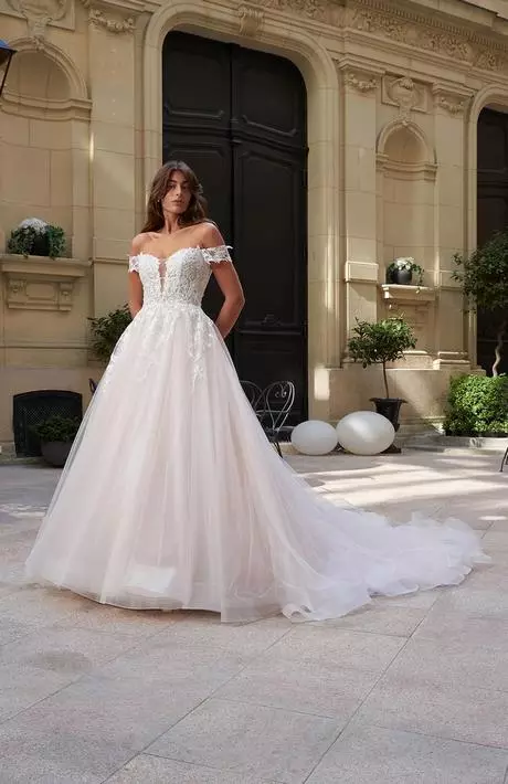 Nouvelle collection de robe de mariée 2024 nouvelle-collection-de-robe-de-mariee-2024-32_3-12